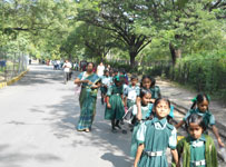 Green Grove International School