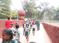 Green Grove International School