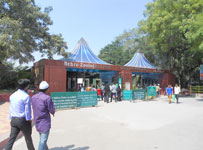 Green Grove International School