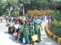 Green Grove International School