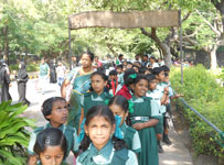 Green Grove International School