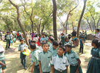 Green Grove International School